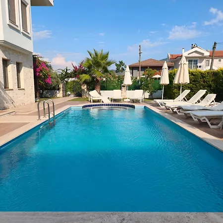 Steelpen Villa Dalyan
